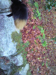 ���イ�����