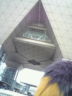 ���傤���ނ�