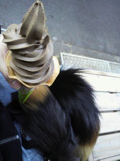 �ق������\�t�g�N���[��