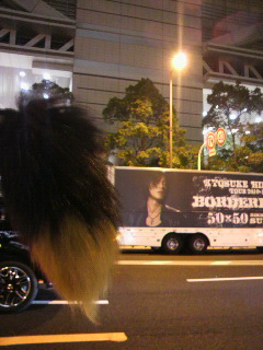 �Ƃ��ۂ���