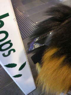 ���邦���ƁI