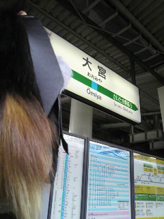 �����݂�