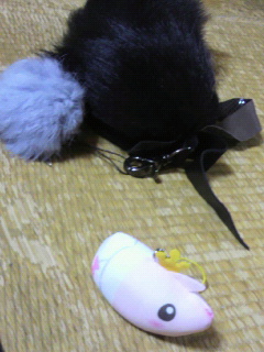 ���܂���