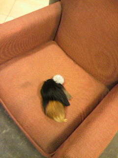 �ӂ����ӂ�